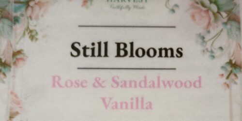 Still Blooms Body Lotion