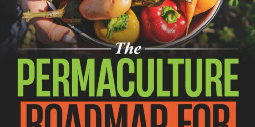 The Permaculture Roadmap for Busy Lives:
