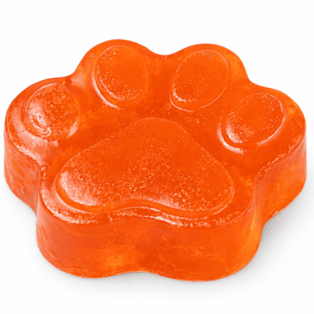 Paw-cicle Kids Soap